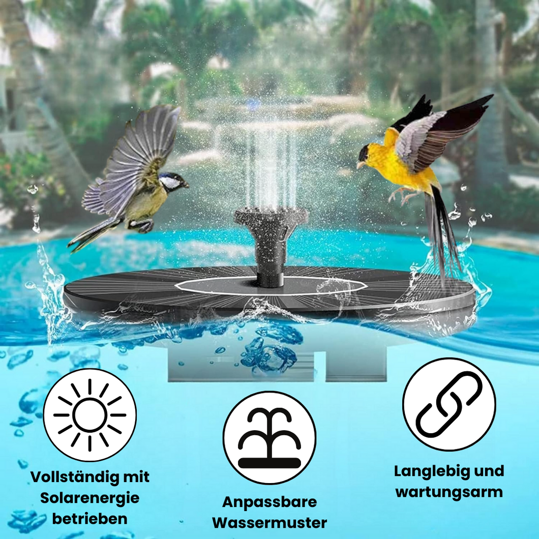 H Fontäne für Vögel